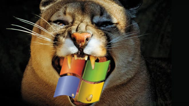 Trading Mountain Lion Windows.jpg